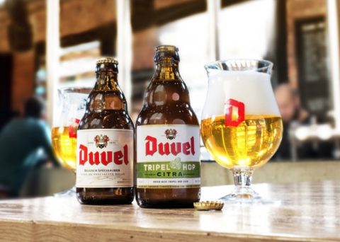 DUVEL TRIPEL HOP PERMANENTLY AVAILABLE