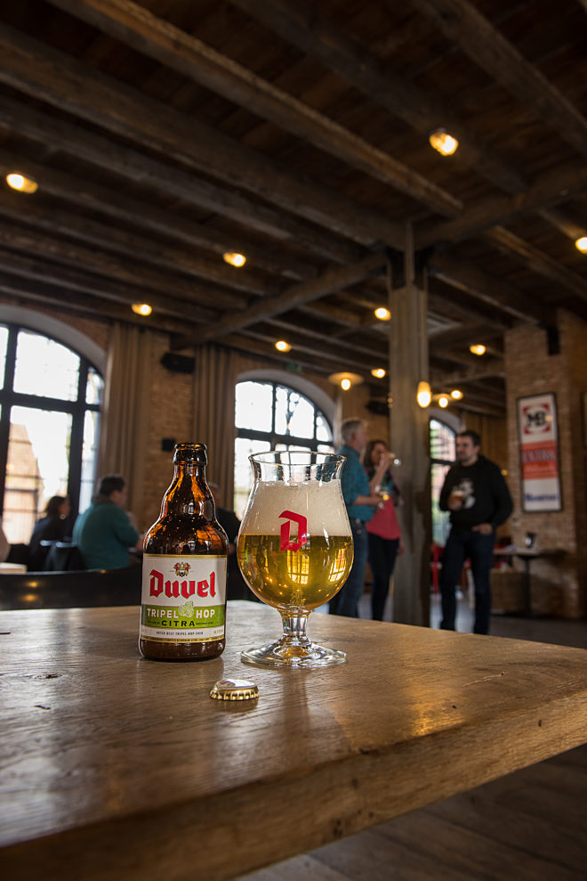 duvel tripel hop citra