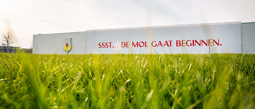 Duvel x De Mol