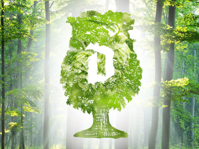 La première forêt Duvel de 5 ha devient une réalité.